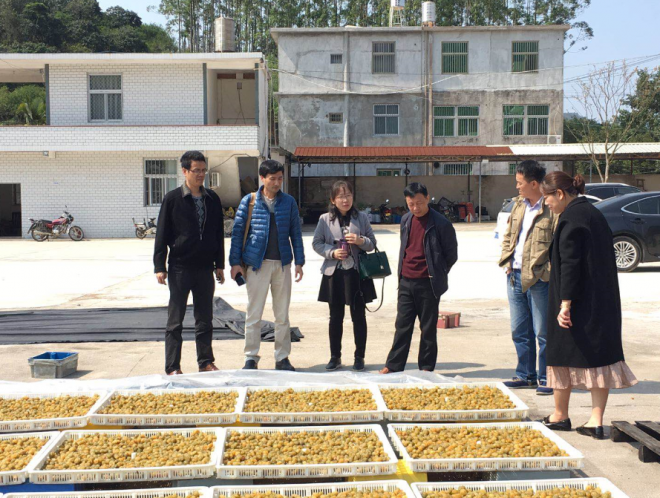 我院科技人员到漳州诏安开展富硒产业科技服务