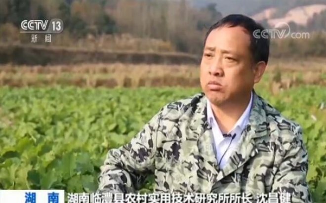 弘扬伟大民族精神 两代人的超级杂交油菜梦