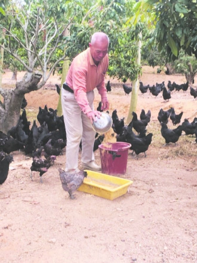 漳州诏安：富硒鸡蛋激发脱贫新活力