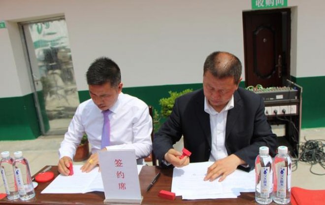 汉阴县平梁镇订单蔬菜促脱贫