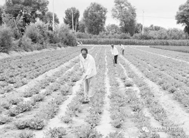 全国各地富硒汇编